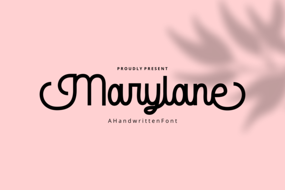 Delicate Script Font for Creative Projects