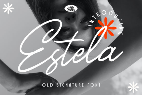 Estela: A Stylish Font for Business