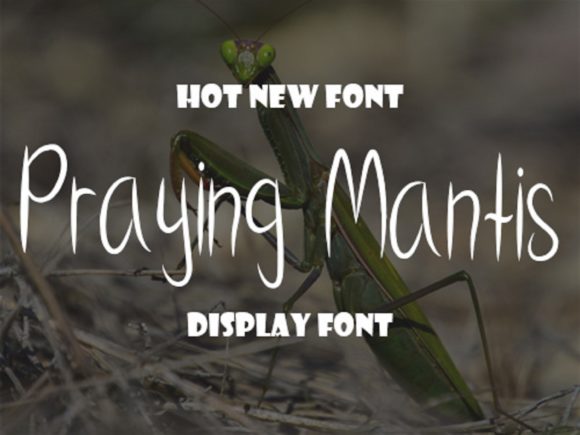 Praying Mantis: A Handwritten Font for Calm Design