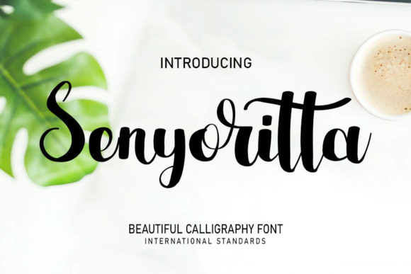 Senyoritta: A Font That Elevates Your Brand